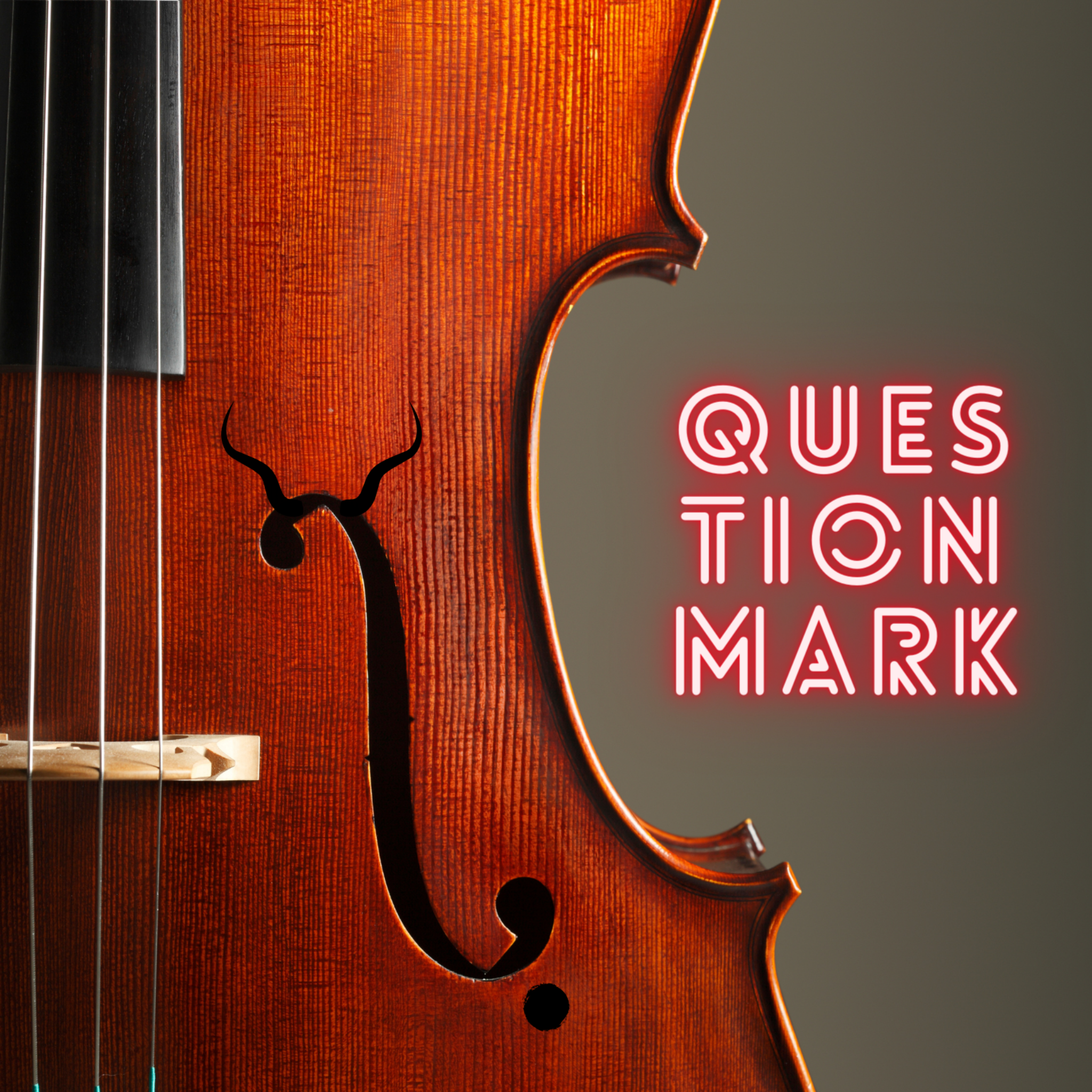 Questionmark Cover